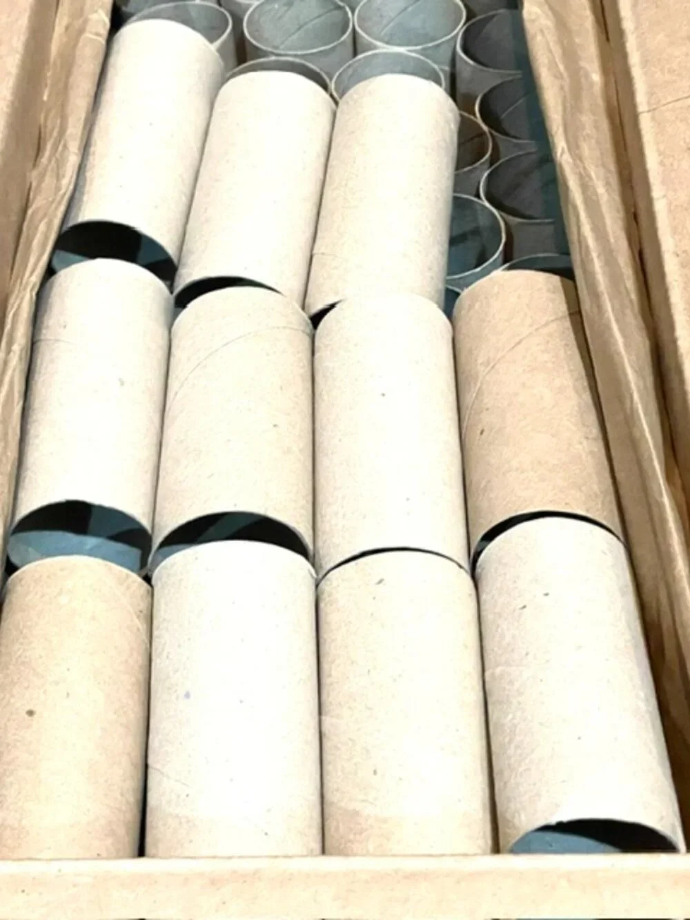 100 Toilet Paper Empty Rolls Cardboard Tubes Craft Art Project School Kid